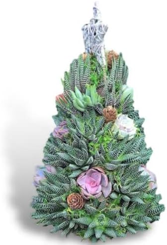 BNREO Noel Ağacı, Mini Etli Noel Ağacı, Kaktüs Noel Ağacı, Yapay Reçine Noel Partisi Dekorasyon için, B