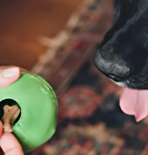 Beco Doğal Kauçuk Yumuşak Top Köpek Oyuncak, Tedavi Dağıtım, Kabarık ve Titrek, Pembe, Büyük