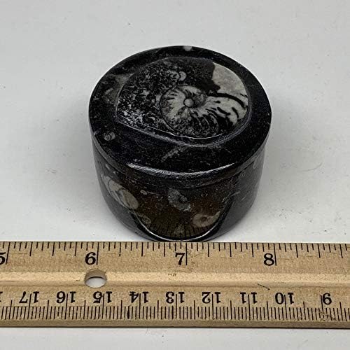 WatanGems 136 Gram, 1.6 x 2 Siyah Fosil Orthoceras Mücevher Kutusu Yuvarlak Şekil Cilalı Fas'tan El Yapımı, Mineral,